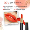 Coloressence Intense Long Wear Lip Color (3.3gm)