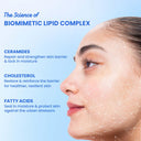 Dot & Key Ceramides & Hyaluronic Barrier Repair Moisturizer for Normal, Dry & Combination Skin (100gm)