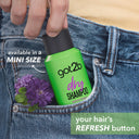 Got2b Dry Shampoo Instant Apple & Sandalwood Fresh Up Extra Volume