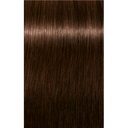 Schwarzkopf Professional Igora Royal Absolutes Permanent Color Creme (5-60 Light Brown Chocolate Natural)