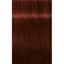 Schwarzkopf Professional Igora Royal Absolutes Permanent Color Creme (5-80 Light Brown Red Natural)