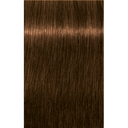 Schwarzkopf Professional Igora Royal Absolutes Permanent Color Creme (6-50 Dark Blonde Gold Natural)