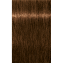 Schwarzkopf Professional Igora Royal Absolutes Permanent Color Creme (6-60 Dark Blonde Chocolate Natural)