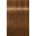 Schwarzkopf Professional Igora Royal Absolutes Permanent Color Creme (7-450 Medium Blonde Beige Gold Neutral)