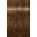 Schwarzkopf Professional Igora Royal Absolutes Permanent Color Creme (7-50 Medium Blonde Gold Natural)