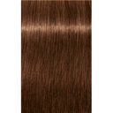 Schwarzkopf Professional Igora Royal Absolutes Permanent Color Creme (7-60 Medium Blonde Chocolate Natural)