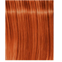 Schwarzkopf Professional IGORA Royal Fashion Lights Permanent Highlight Color Creme (L-77 Copper Extra)
