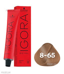 Schwarzkopf Professional Igora Royal Permanent Color Creme (60ml) Igora 8-65 Light Brown Brown Gold