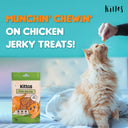 Chicken Jerky Strips Cat Treat, 35 gm