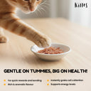 Snapper Jerky Strips Cat Treat, 35 gm