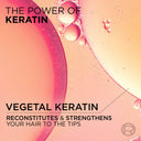 L'Oreal Paris Dream Lengths Restoring Shampoo For Long Damaged Hair