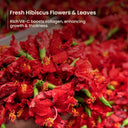 Nat Habit Five Oil Hibiscus Conditioner For Hair Fall Control, 72 Hrs Frizz Control With Fenugreek