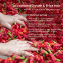Nat Habit Hibiscus Amla Hair Growth & Thickening Summer Ayurvedic Oil with Rosemary Coconut Castor