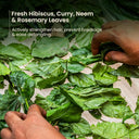 Nat Habit Trileaf Rosemary Conditioner For Hair Fall Control, Conditioner For Dry & Damaged Hair