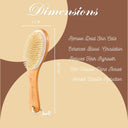 OROSSENTIALS Wooden Dry Body Brush-WITH HANDLE (ORO-022)
