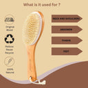 OROSSENTIALS Wooden Dry Body Brush-WITH HANDLE (ORO-022)