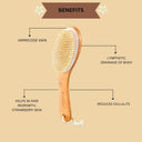 OROSSENTIALS Wooden Dry Body Brush-WITH HANDLE (ORO-022)