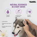 Pawpaya Ear Wipes 25 Wipes, 20 x 18 cm