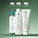 Biolage Scalp Sync Anti-Dandruff Concentrate, Exfoliating & Clarifying Dry Scalp Treatment (200ml)