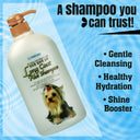 Forbis Long Coat Aloe Shampoo, 750 ml
