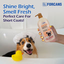 Forbis Short Coat Aloe Shampoo, 750 ml