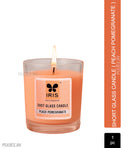 Iris Shot Glas Candle - Peach Pomegranate (1 Pc)