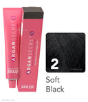 Streax Professional Argan Secrets Hair Colourant Cream - Black Brown 2 (60gm)
