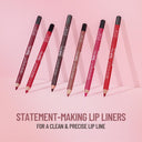 Swiss Beauty Bold Matt Lip Liner Pencil, Long-lasting , Matte Finish , Non-Drying - Pack of 12 (1.6g Each)