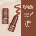 Swiss Beauty Contour It Up Stick - 01 Walnut Brown (8gm)