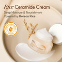 The Face Shop Ceramide & Rice Moisturizer - Korean Day Cream for Barrier Repair & Glass Skin Glow (50ml)