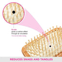 VEGA Paddle Brush (Wooden) - (E2-PBB)