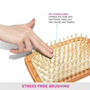 VEGA Paddle Brush (Wooden) - (E2-PBB)