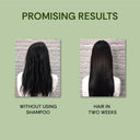 Vedic Valley 21 Tatva Brewed Herb Shampoo (300ml)