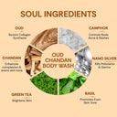 Vedic Valley Refreshing Oud Chandan Hair & Body Wash (300ml)