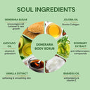 Vedic Valley Demerara Sugar Detan Body Scrub (250gm)