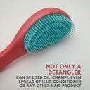 Shop Alan Truman DT-01 Detangling Brush - Grey Pink (1Pcs) Online in India Chennai Tamil Nadu / Review