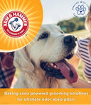 Arm & Hammer 2-in-1 Shampoo & Conditioner for Dogs – 20 oz | Cucumber Mint Scent, Baking-Soda Odour Control, Gentle Cleansing & Conditioning for All Dogs