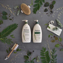 Shop Aveeno Daily Moisturizing Lotion For Dry Skin (71ml) Online in India Chennai Tamil Nadu / Review