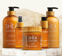 Shop Beauty Garage Pure African Shea Butter Retention Treatment Shampoo (750ml) Online in India Chennai Tamil Nadu / Review