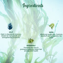 Biotique Ocean Kelp Anti-Hair Fall Shampoo For Hair Growth Therapy