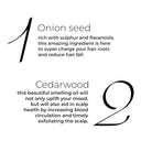 Brillare Onion Hair Oil for Hair Fall Reduction (100ml) WHATS INSIDE