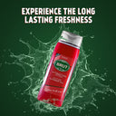 Buy Brut Products at the lowest price from Pixies.in. Check out Brut Attraction Total All - In- one Hair & Body Shower Gel (500ml) reviews. COD