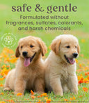 Burt’s Bees Oatmeal Dog Shampoo – 16 oz /473ml | All-Natural Formula with Colloidal Oat Flour & Honey, Gently Cleanses and Soothes Itchy, Dry Skin for Dogs & Puppies