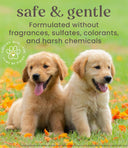 Burt’s Bees Tearless 2-in-1 Shampoo & Conditioner – 16 oz/473 ml | All-Natural Buttermilk & Linseed Oil Formula, Gentle & pH-Balanced for Puppies and Dogs