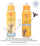 Burt’s Bees Tearless 2-in-1 Shampoo & Conditioner – 16 oz/473 ml | All-Natural Buttermilk & Linseed Oil Formula, Gentle & pH-Balanced for Puppies and Dogs
