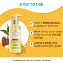 Coco Soul Dandruff Control Conditioner with Ayurvedic Medicine | 100% Cold Pressed Virgin Coconut Oil | Neem & Methi | Sulphate & Paraben Free - Makers of Parachute Advansed | 200ml