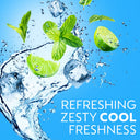 Dettol Hygine Body Wash Mint & Bergamot - Cool (250ml)