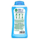 Dettol Hygine Body Wash Mint & Bergamot - Cool (250ml)