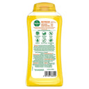 Dettol Refresh Body Wash - Yuzu Citrus (250ml)