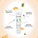 Shop Fixderma Lip Balm For Dark And Winter Dry Lips (15ml) Online in India Chennai Tamil Nadu / Review
